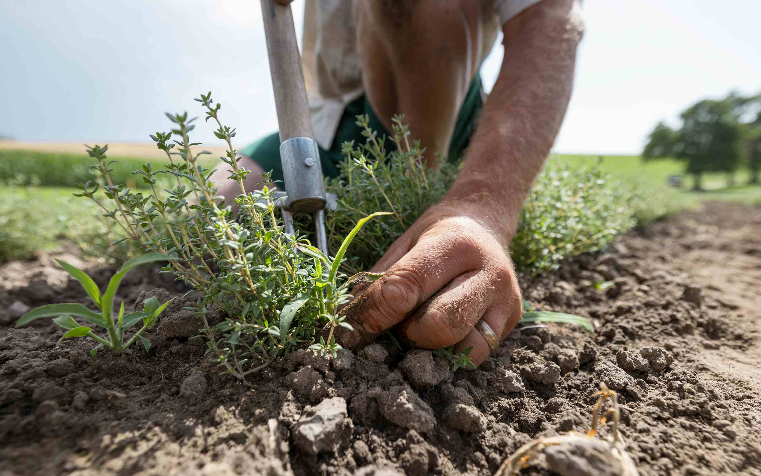 Fattoria Duppenthaler